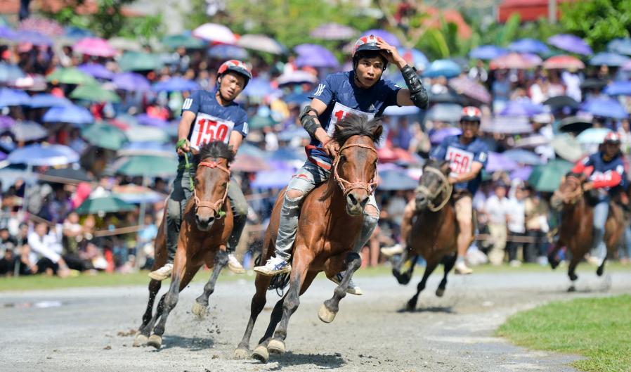 Lễ hội đua ngựa Bắc Hà (Lào Cai) 