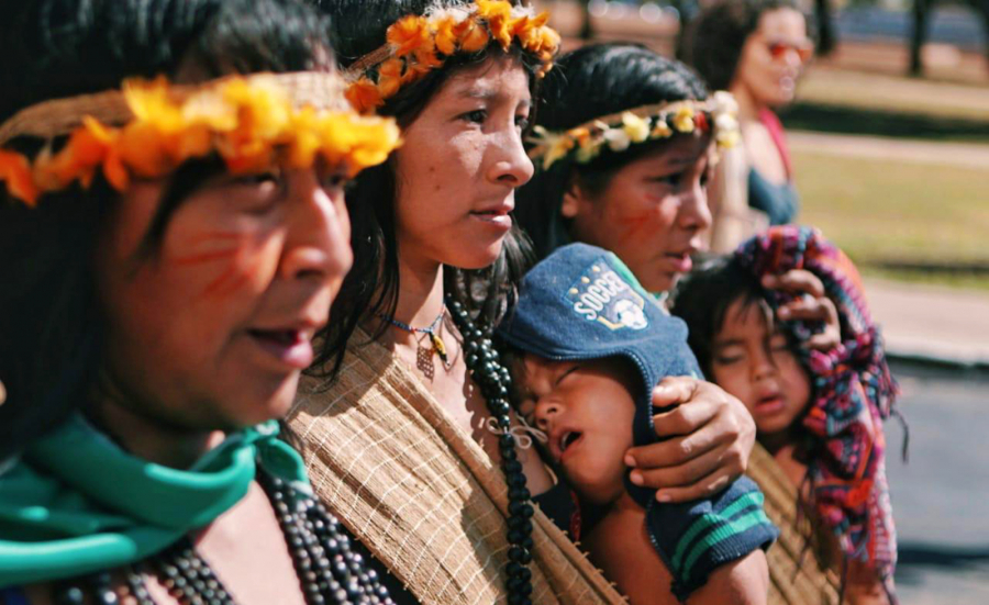 Hiện nay Brazil có khoảng 300 bộ tộc với khoảng 850.000 sinh sống tại các vùng trên cả nước