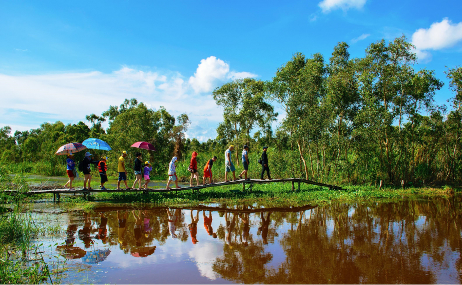 Du khách khám phá rừng U Minh Hạ trong mô du lịch cộng đồng Mười Ngọt, Cà Mau.