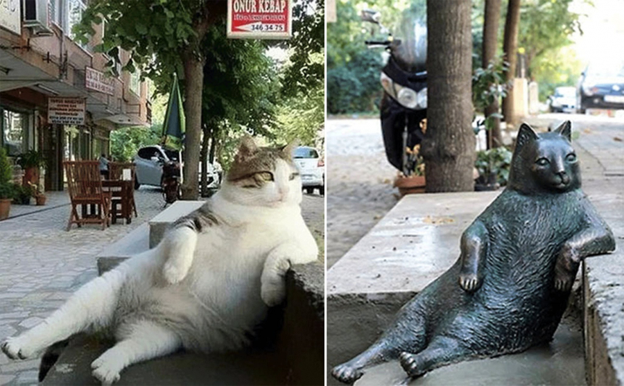 Tượng mèo Tombili nổi tiếng ở Istanbul