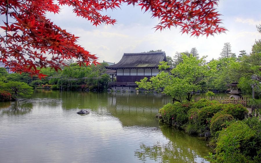 Một khu vườn trong đền Heian Jingu