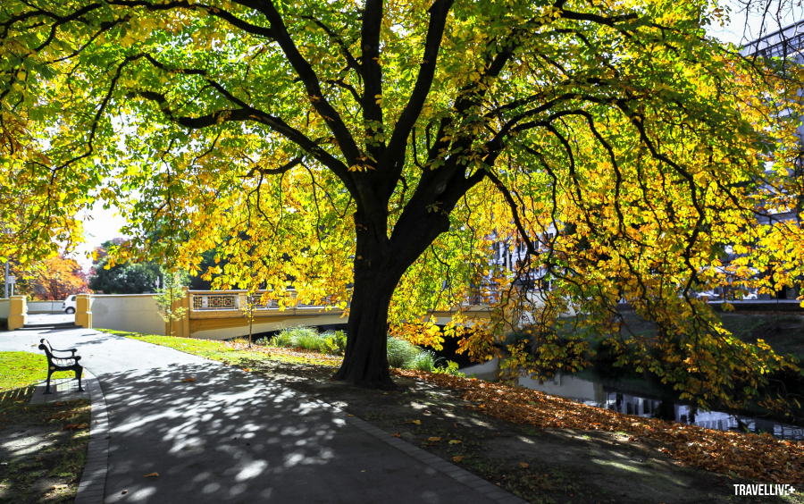  Góc thu ở Christchurch