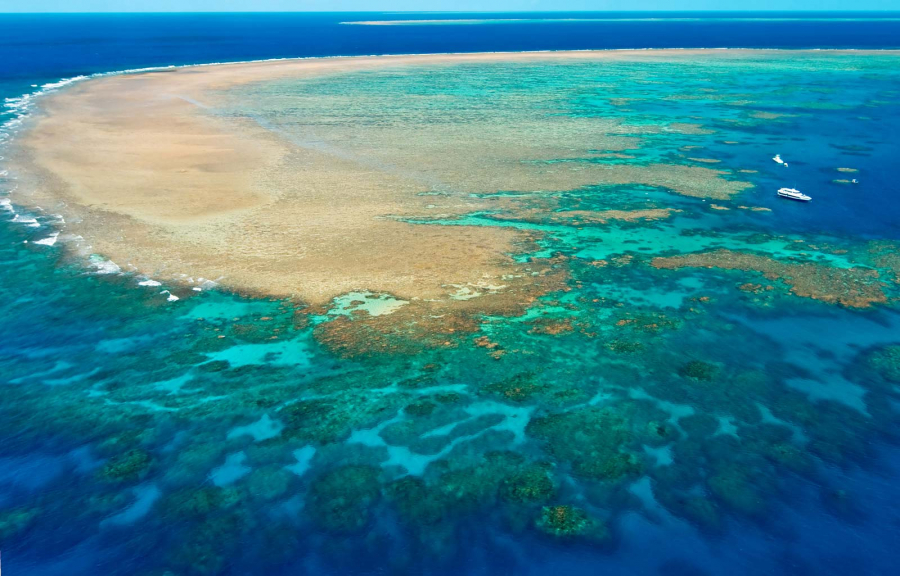 Vịnh san hô Great Barrier ở Úc.