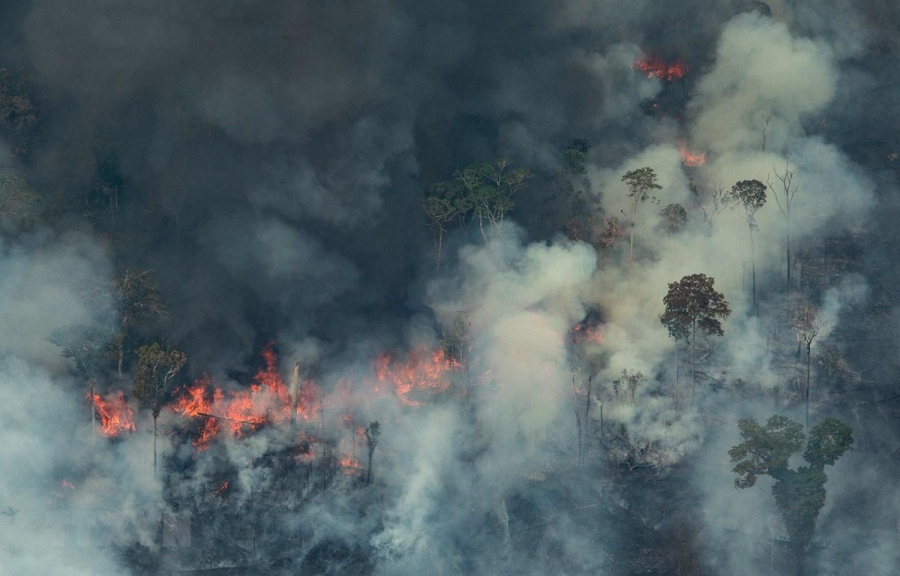 Số vụ cháy rừng tại Brazil đang ở mức cao nhất trong 7 năm qua. So với cùng kỳ của năm 2018, số vụ cháy xảy ra tại nước này từ đầu năm đến nay đã tăng lên hơn 56%, với tốc độ tương đương 110 sân bóng bị phá hủy mỗi giờ.