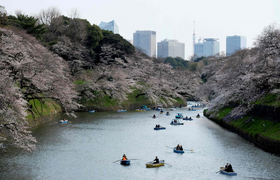 Mọi người vui vẻ tận hưởng việc chèo thuyền dọc sông Meguro và ngắm hoa đào