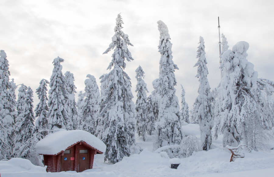 winter-finland-tree-ski-cold-cottage-1421409-pxhere.com