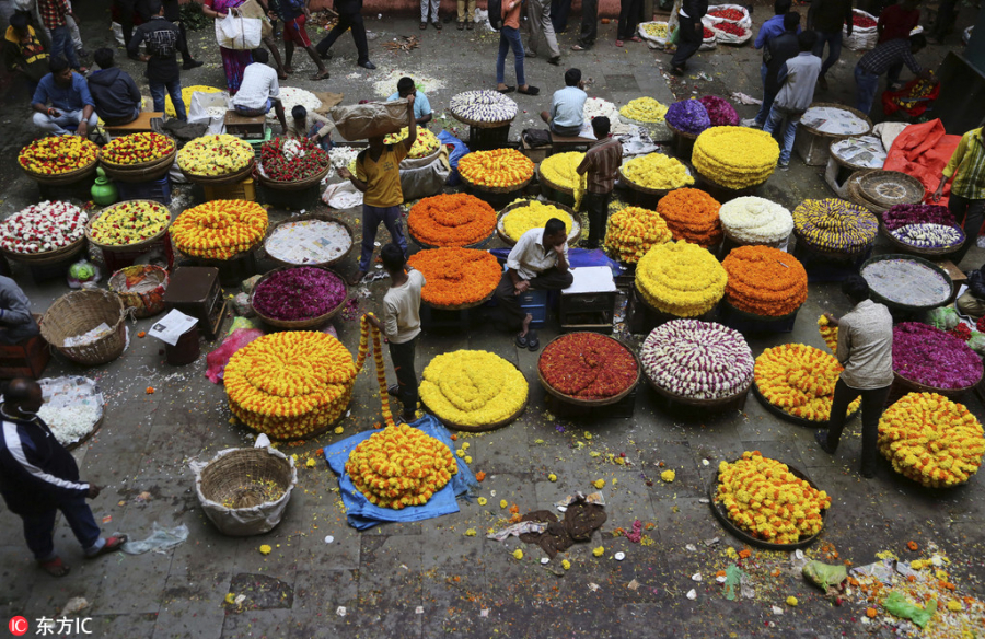Chợ hoa của Thành phố Bangolore, Ấn Độ