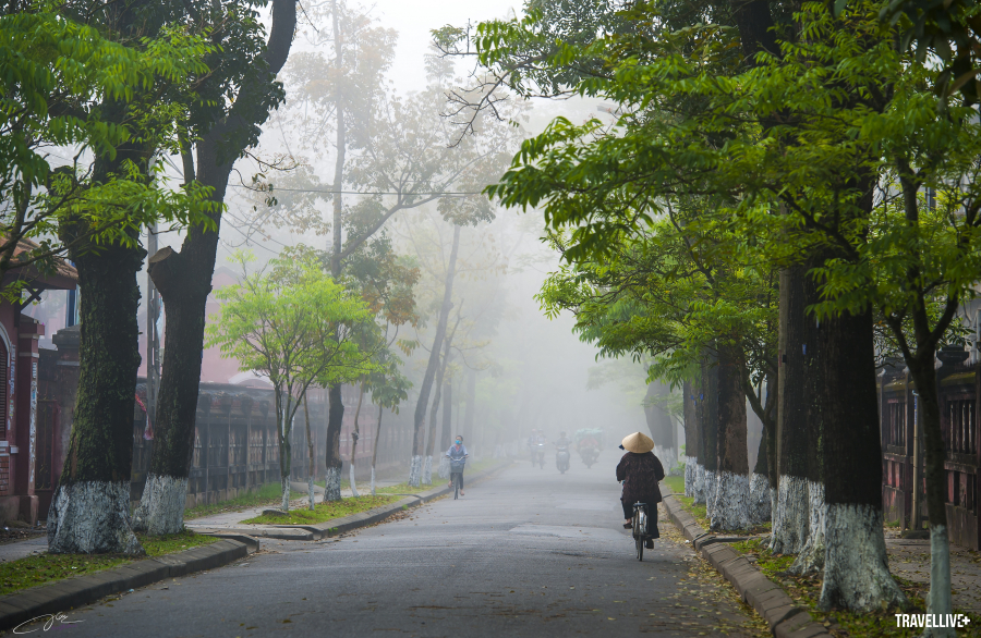 Con đường Nguyễn Trường Tộ bảng lảng trong sương sớm. Đây chính là con đường nằm giữa trường Quốc học Huế và trường PTTH Hai Bà Trưng - từng là trường nữ sinh Đồng Khánh nức tiếng một thời.