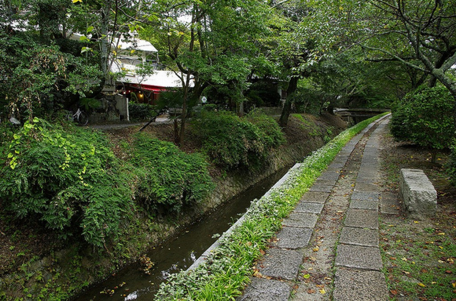 Con đường xanh tươi vào mùa hè và mùa thu khiến thành phố Kyoto mát dịu