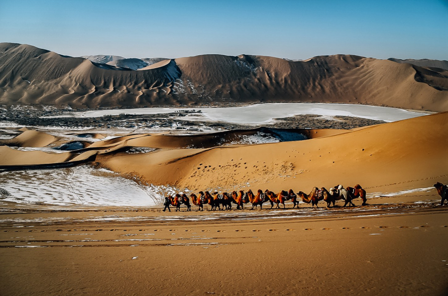 Lạc đà là phương tiện di chuyển thuận tiện nhất khi đến với sa mạc Badain Jaran.