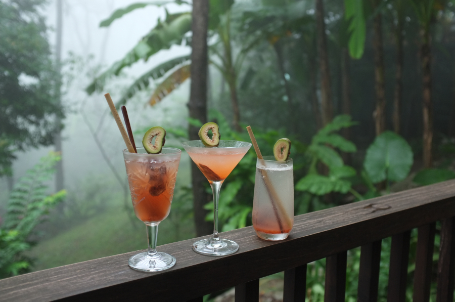 Quả Vả Old Fashioned, Quả Vả Dry Martini và Quả Vả Refreshing Mocktail đầy bí ẩn