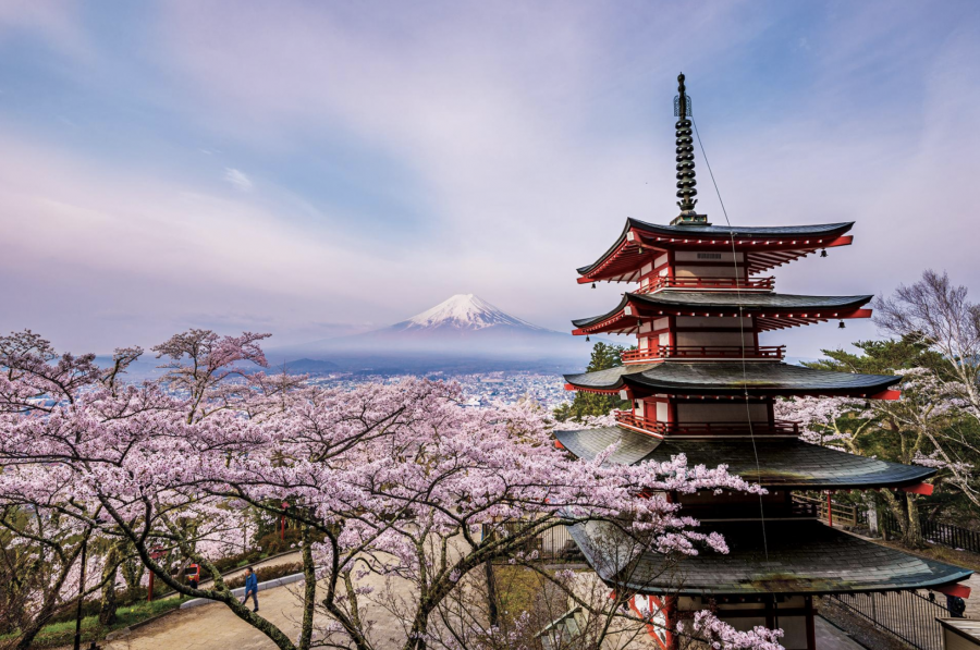Ngôi chùa năm tầng này tạo lạc tại Công viên Arakurayama Sengen ở Thành phố Fujiyoshida, có hướng nhìn ra Núi Phú Sĩ tuyệt đẹp trong mùa hoa anh đào.  (Ảnh của Takashi Nakagawa)