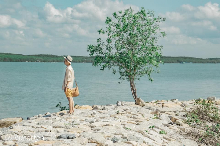 Cây cô đơn, một địa điểm check-n tại đảo Thạnh An (ảnh: Vic for ten).