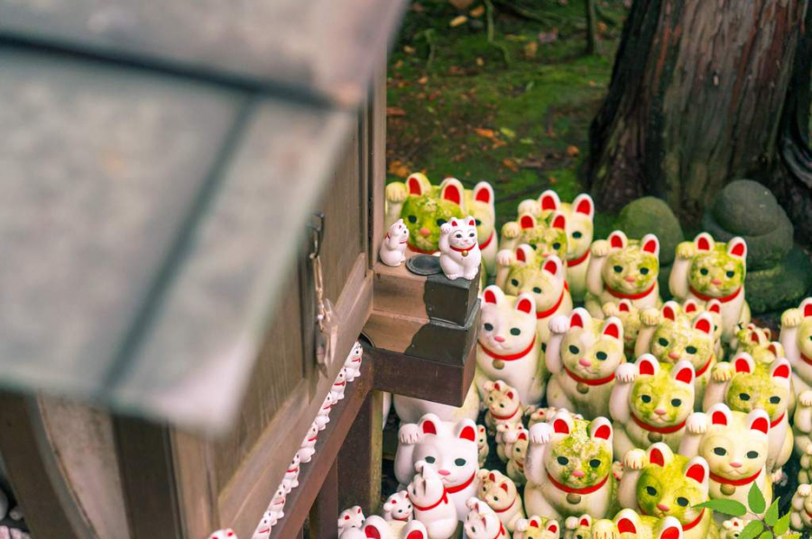 Những bức tượng mèo ở Đền Gotokuji có bàn chân phải giơ lên, chào đón của cải và sự thịnh vượng