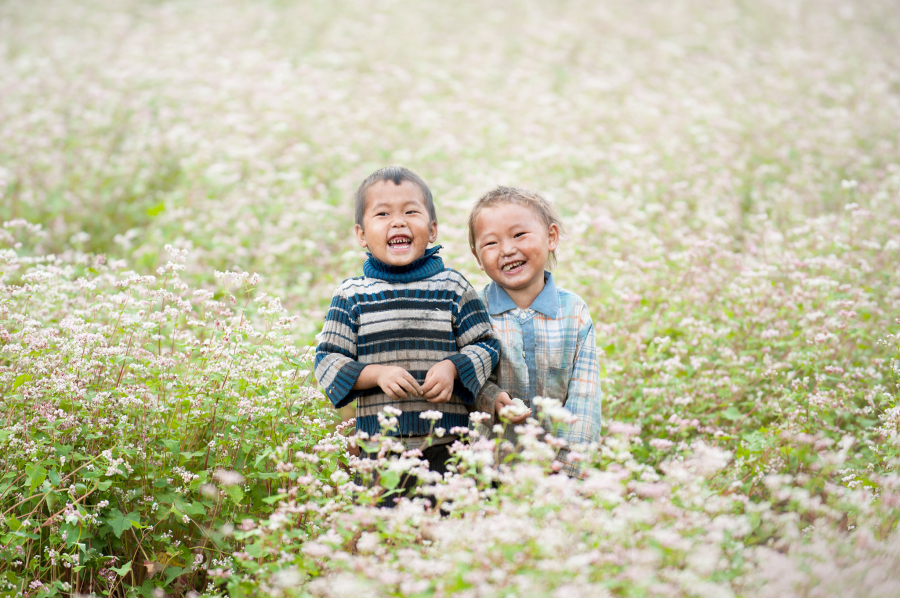 Những bạn nhỏ hồn nhiên vui đùa bên cánh đồng hoa tam giác mạch.
