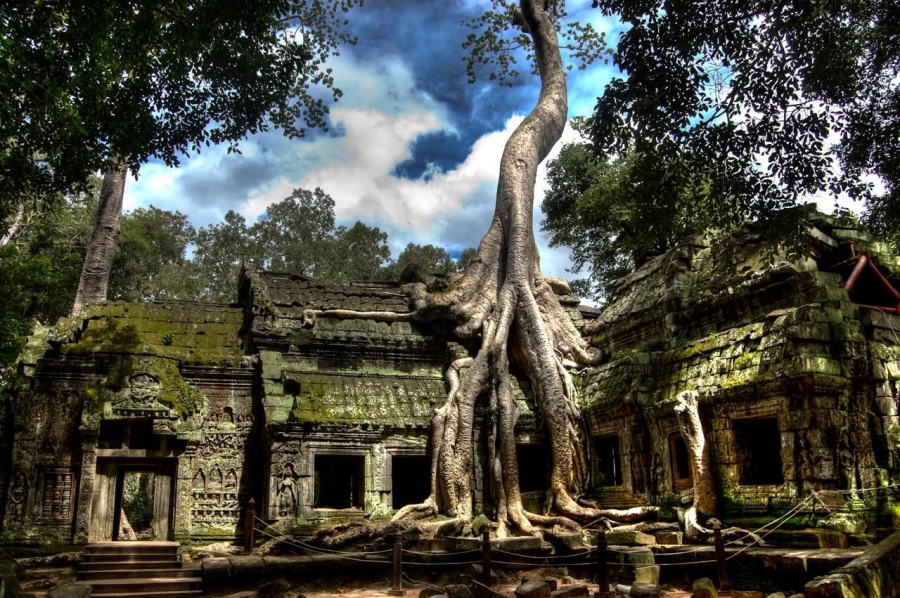 Đền Ta Prohm ở Angkor Wat
