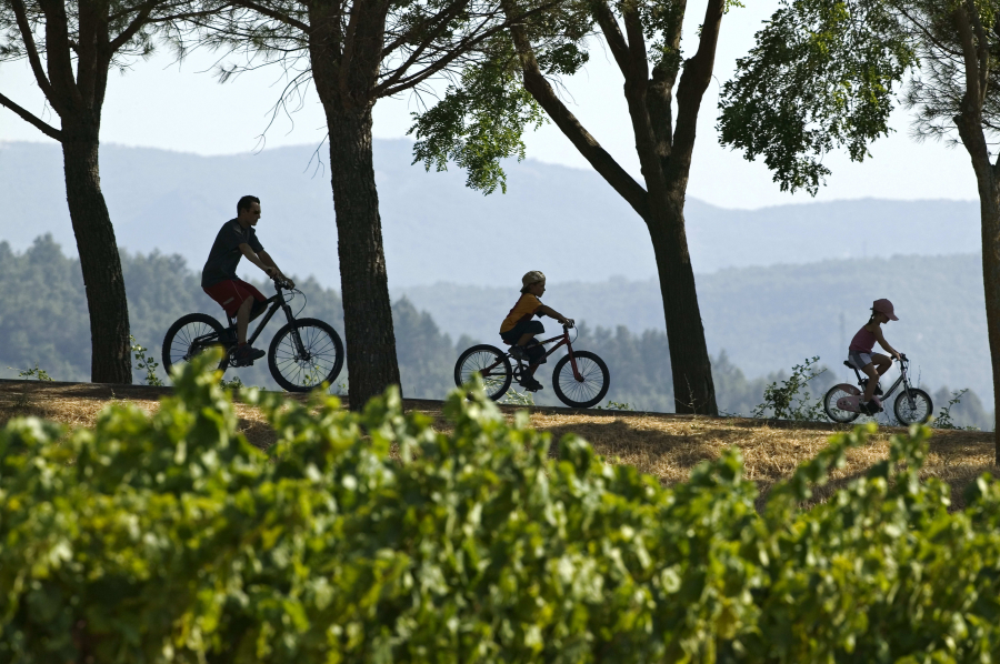 Có rất nhiều tuyến đường đạp xe ở Provence dành cho du khách khám phá cảnh đẹp
