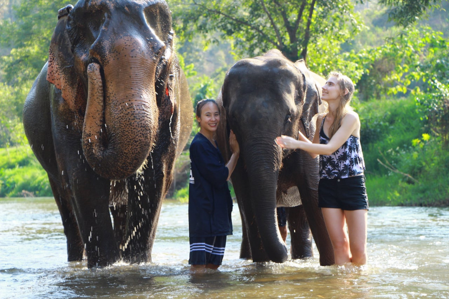 Du khách trải nghiệm du lịch thân thiện không cưỡi voi