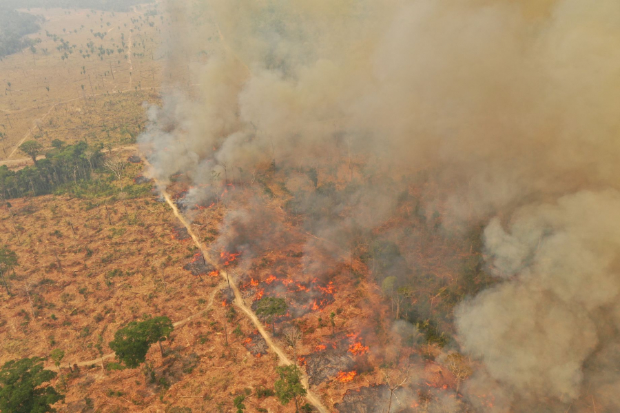 Tình trạng cháy rừng nghiêm trọng ở Amazon suốt 3 tuần qua vẫn chưa được khắc phục.