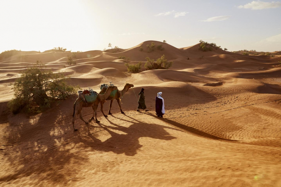 Trải nghiệm cưỡi lạc đà băng qua sa mạc Sahara mênh mông cát vàng