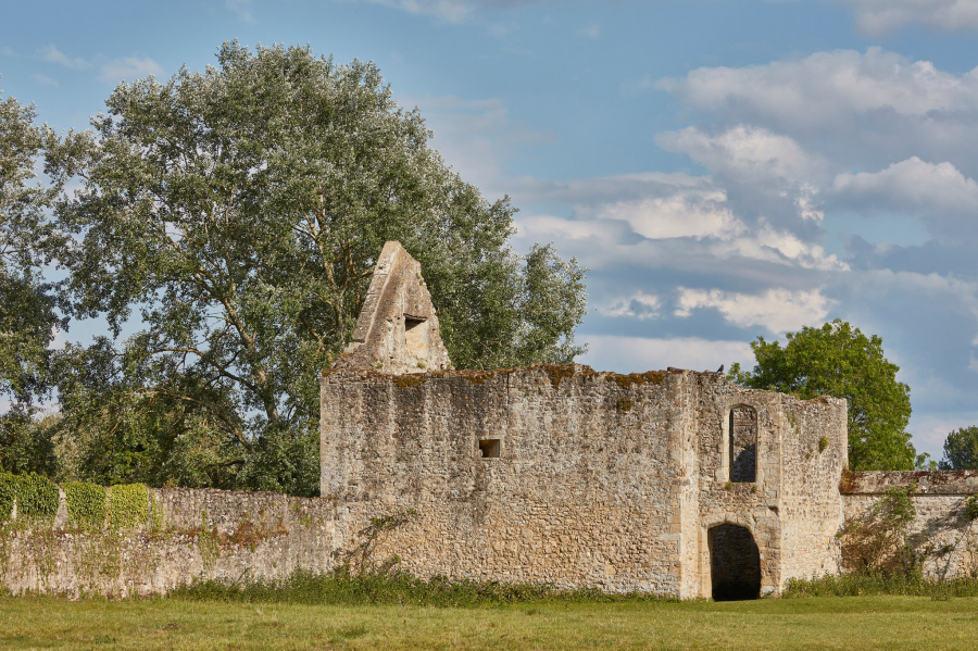 Tàn tích của tu viện Godstow có từ thế kỷ 12 - Andy Haslam