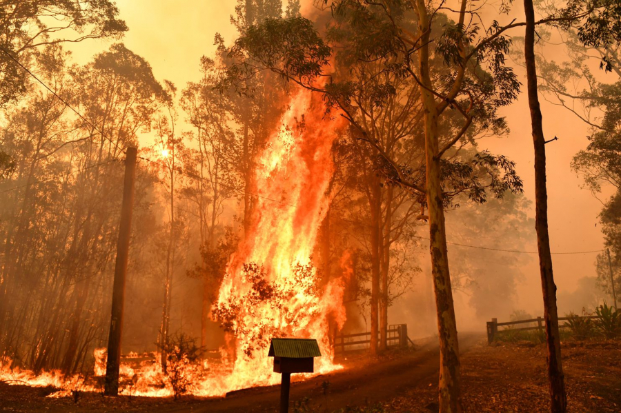 Cháy rừng bùng phát dữ dội ở New South Wales trong những tháng qua