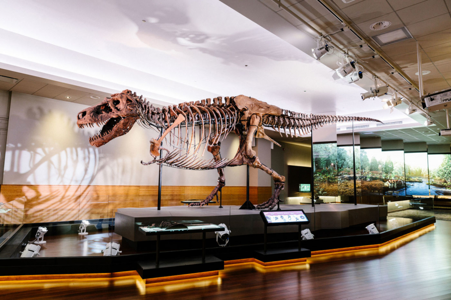 Phòng trưng bày về loài khủng long lớn nhất thế giới từng tồn tại.