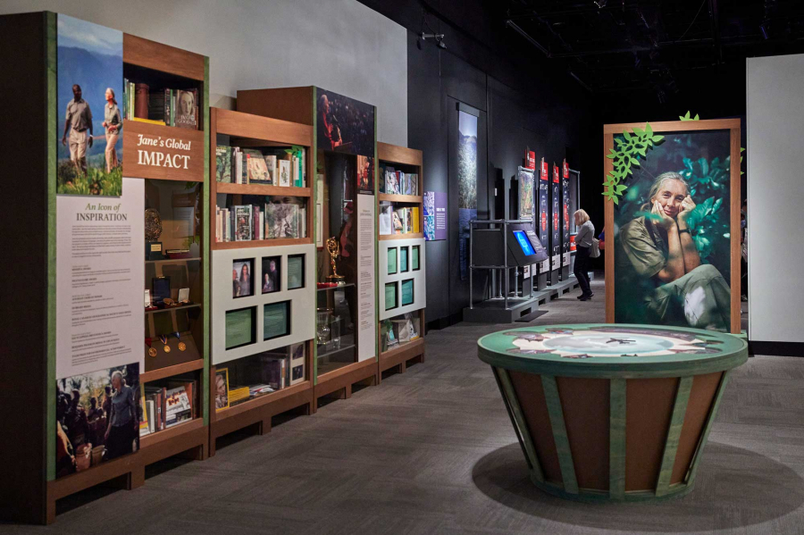 Phòng triển lãm về Jane Goodall, Tiến sĩ nổi tiếng thế giới về nghiên cứu loài tinh tinh.