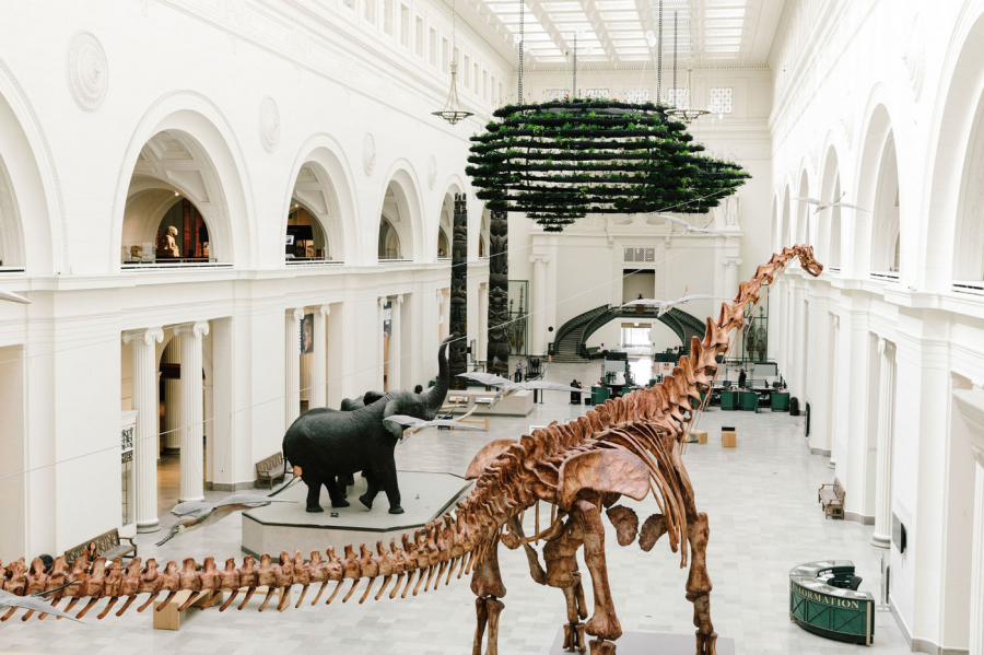 Hiện vật quý giá nhất của bảo tàng là bộ xương khủng long Tyranosaurus Rex. Hóa thạch có chiều dài 42 feet, cao 13 foot với hơn 65 triệu năm tuổi.
