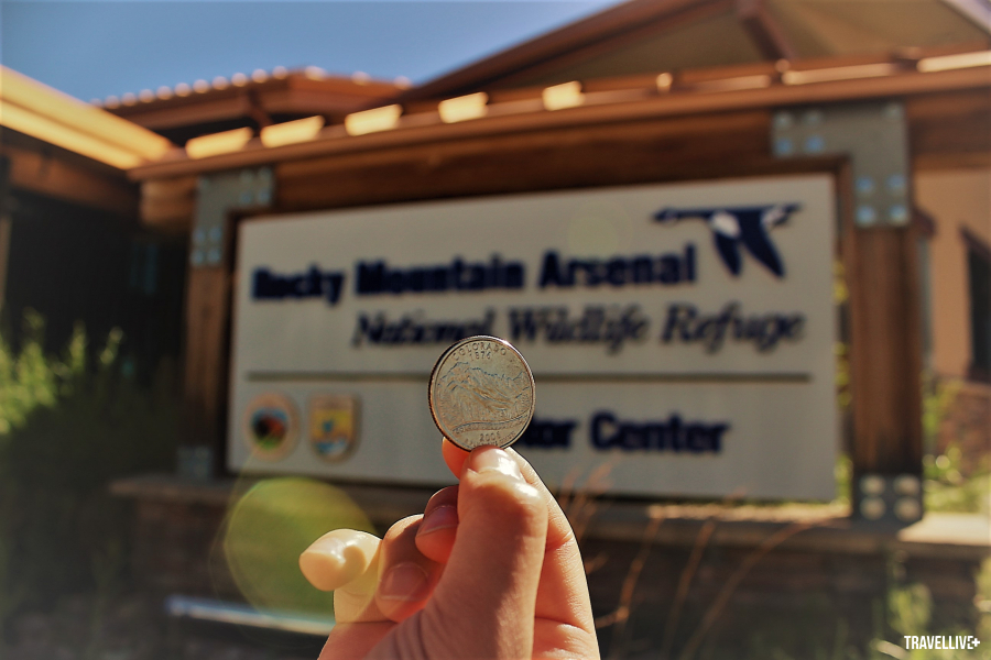 Đồng xu 25 cent chụp ở trung tâm bảo tồn thiên nhiên Rocky (Colorado)