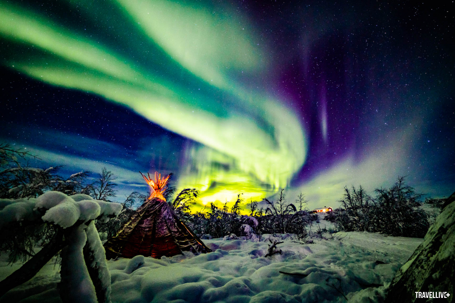 Ngắm Bắc Cực quang giữa rừng, bên dưới là lều của người Sami