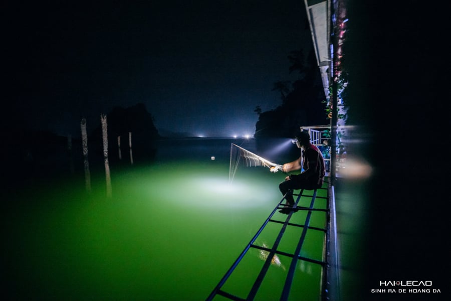 Câu cá trong đêm (ảnh: Hailecao).