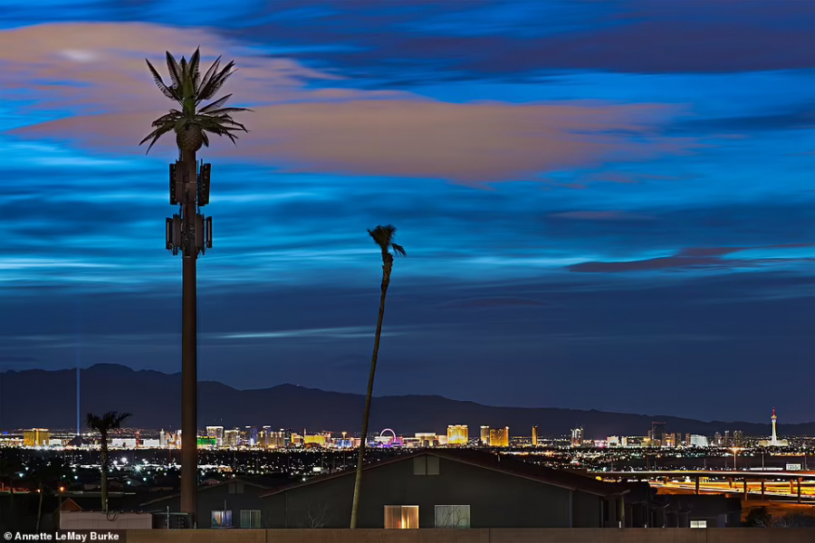 Cột điện thoại ở Henderson, bang Nevada có hình dạng cây cọ khổng lồ (ảnh: Annette LeMay Burke).