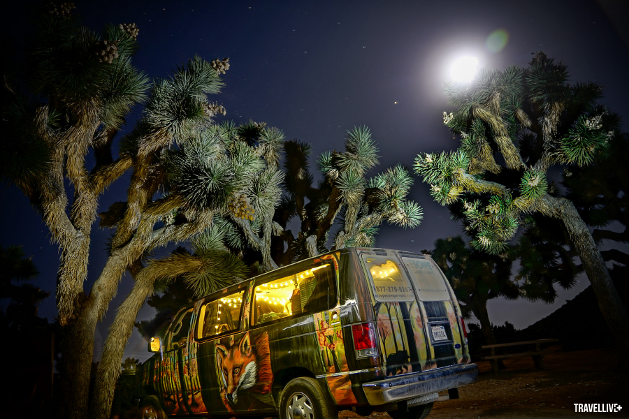 Cắm trại dưới ánh trăng trong Công viên Quốc gia Joshua Tree, California