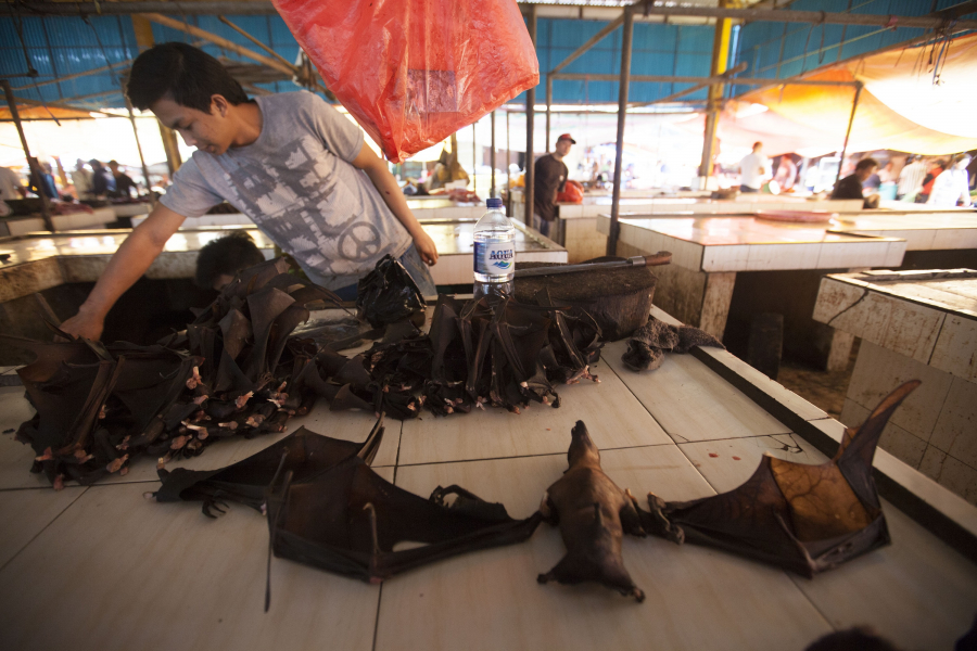 Dịch bệnh Covid-19 được cho là bắt nguồn từ loài dơi, được bán tại các chợ buôn bán ĐVHD ở Vũ Hán, Trung Quốc