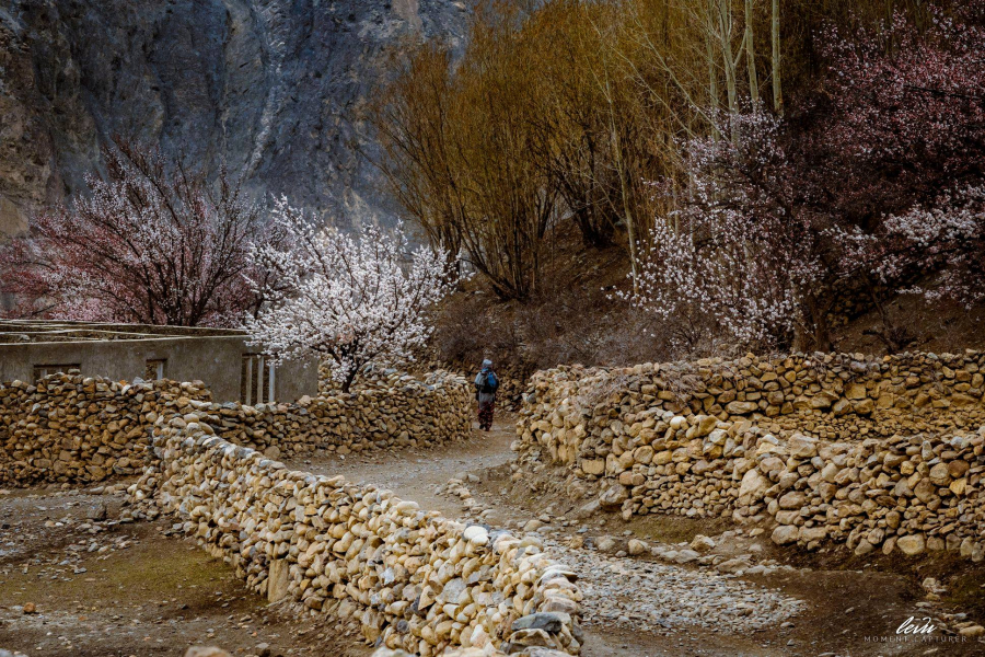 Những con đường đất được dựng hàng rào đá là cảnh tượng quen thuộc ở Hunza
