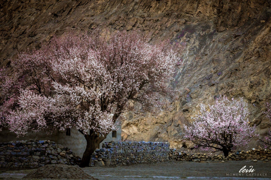 Ảnh chụp tại làng Shimshal, ngôi làng nằm ở vị trí cao nhất thung lũng Hunza. Nó là ngôi làng liền kề biên giới giữa Pakistan và Trung Quốc, có tổng diện tích rơi vào khoảng 3.800 km2.
