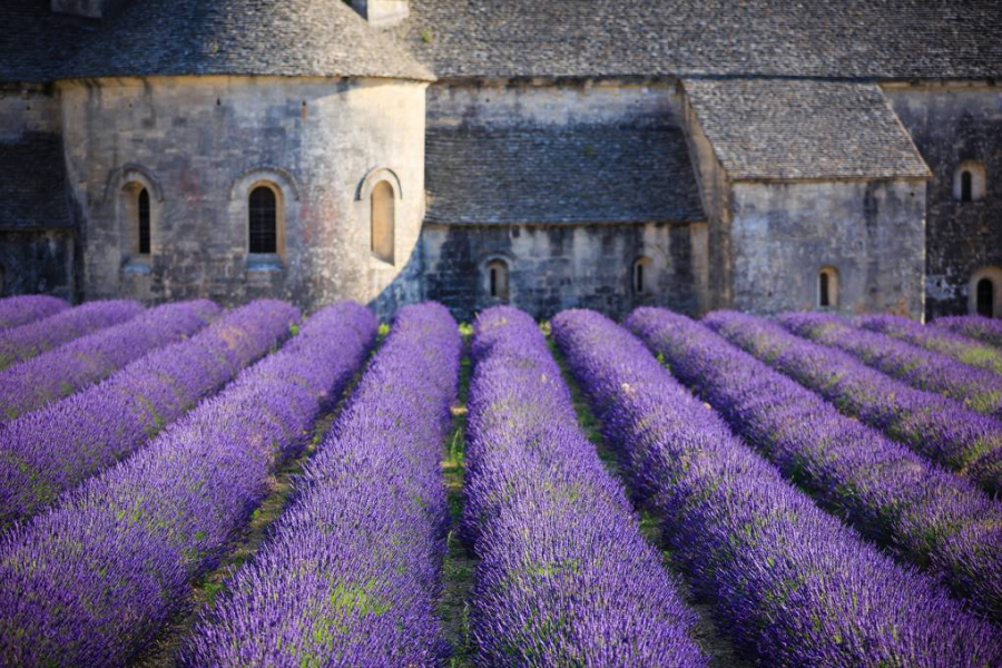 provence-france-gettyimages-481275036