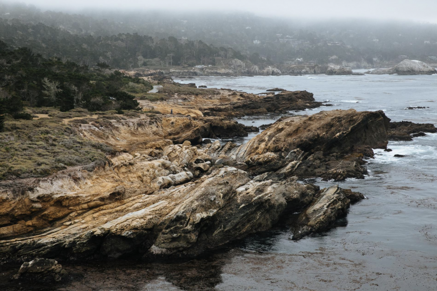 Point Lobos là khu bảo tồn thiên nhiên cuối cùng, nơi bạn có thể lặn với rái cá biển và cá voi xám vào buổi sáng, ghé thăm một cabin thuyền mang tính lịch sử của ngư dân Trung Quốc vào buổi chiều, và sau đó tắm nắng với hải cẩu bên cạnh một vịnh nhỏ xanh màu colban.