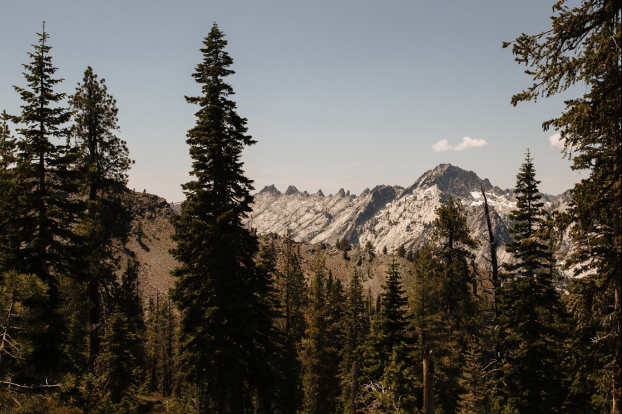 Là một phần nhỏ của dãy núi Klamath, vùng hoang dã Trinity Alps là khu vực hoang dã lớn thứ hai ở California, với đỉnh cao lên tới 9.000 feet. Những con đường mòn cưỡi ngựa hàng trăm năm tuổi ở đây từng in dấu chân của những người khai thác mỏ. Du khách đến đây thường lướt qua những đồng cỏ hoa dại, những đỉnh núi hiểm trở và những lạch nước rợp bóng liễu.