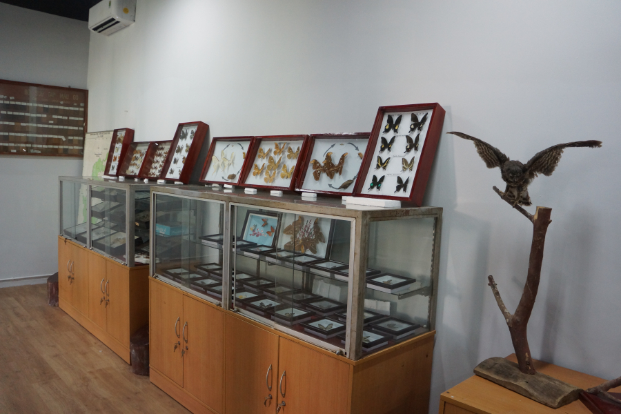 Bảo tàng Sinh vật ở Vườn quốc gia Cát Tiên