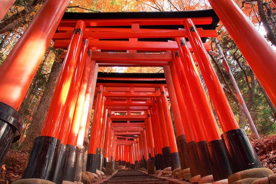 Cổng đền Fushimi Inari Taisha