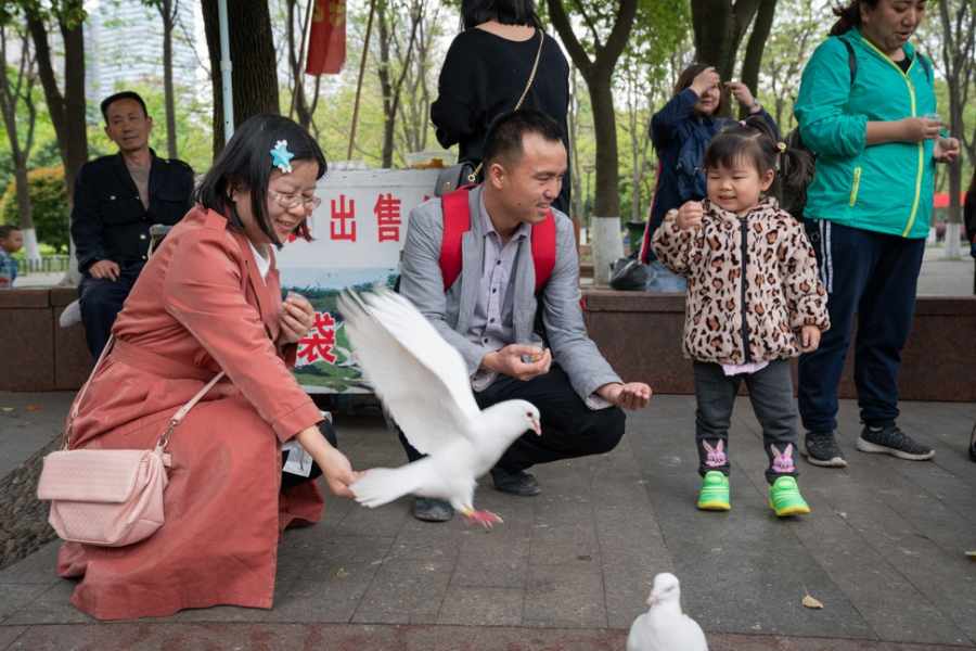 Gia đình Zeng cho bồ câu ăn trong công viên.