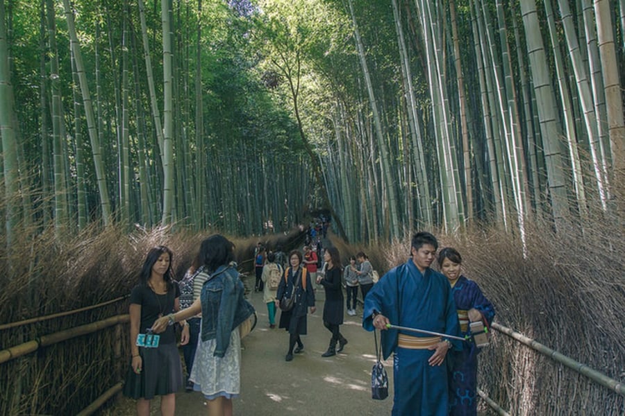 Nhiều du khách còn thuê kimono để mặc khi đi dạo trong rừng trúc nhằm tăng thêm tính thi vị
