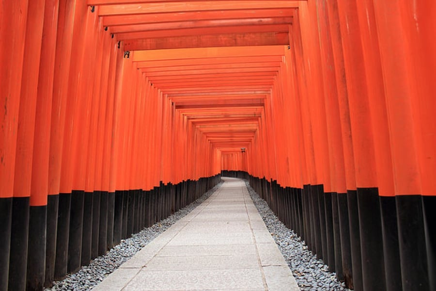 Hàng ngàn cổng đền torii giống như một đường hầm lên đỉnh núi