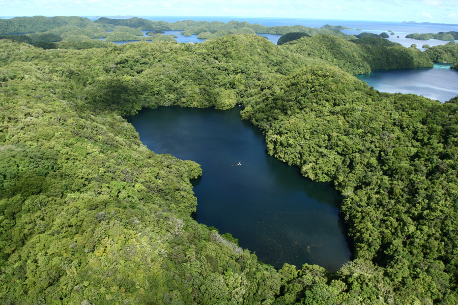 Hồ Sứa thuộc đảo Eil Malk, Palau
