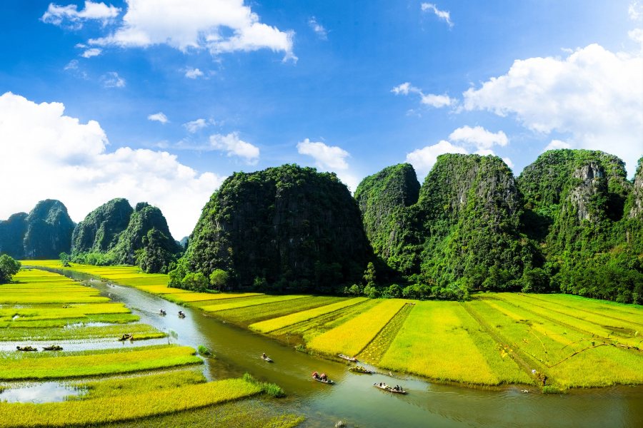 Đi thuyền trên dòng sông Ngô Đồng ở Tam Cốc