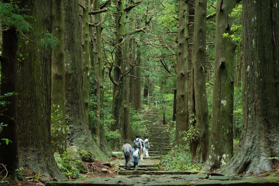 Vườn quốc gia Yoshino-Kumano