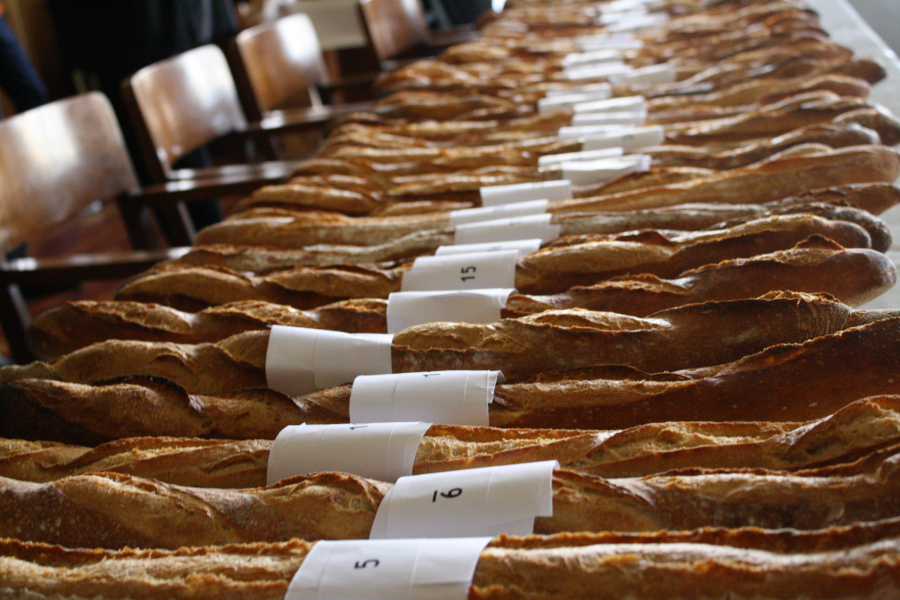 Mỗi năm, khoảng 200 thợ làm bánh tham gia cuộc thi làm bánh được thèm muốn nhất ở Paris: Le Grand Prix de la Baguette
