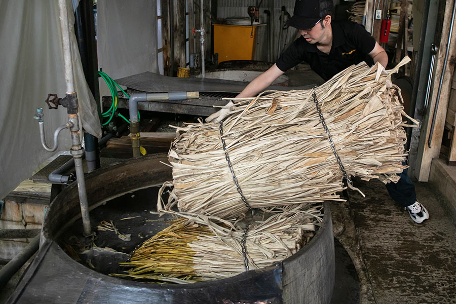 Nhánh cây dầu tằm là một trong những thành phần chính tạo nên giấy washi.